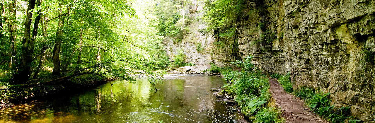 Schluchtensteig