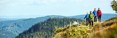 Geführte Wanderungen
