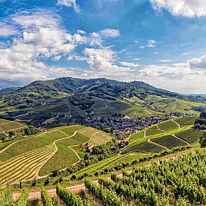 Durbacher Weinpanoramaweg