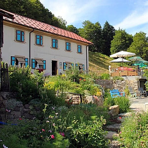 Ferme Auberge du Gresson - Oberbruck
