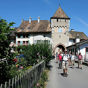 Schweizer Jura