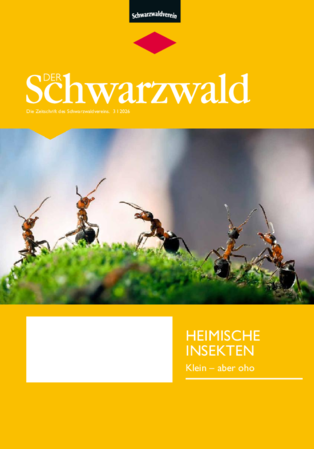 Der Schwarzwald 3/2026