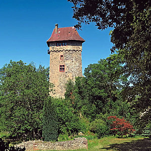 Das bezaubernde Städtchen Burkheim und Burgruine Sponeck